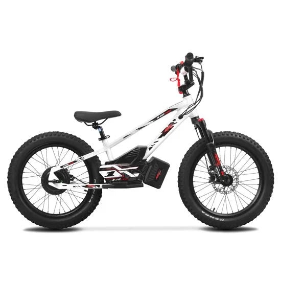 Amped A20 Pro - 800w high performance electric bike