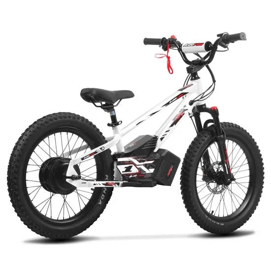 Amped A20 Pro - 800w high performance electric bike