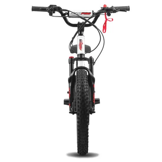 Amped A20 Pro - 800w high performance electric bike