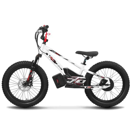 Amped A20 Pro - 800w high performance electric bike
